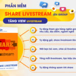 Phần mềm ninja share liveStream