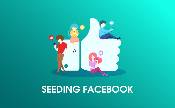 Seeding facebook là gì