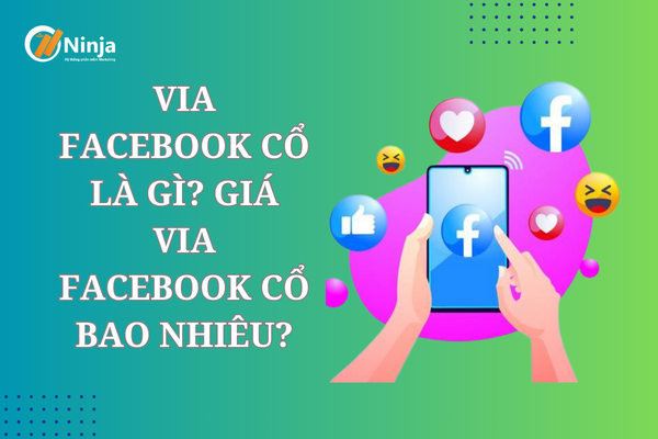 Giải đáp: Via facebook cổ là gì?