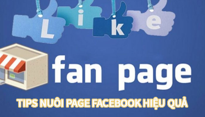 Xây dựng thương hiệu trên page facebook