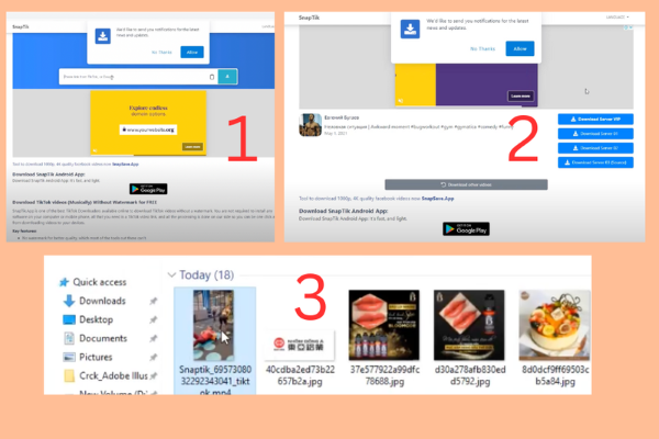 Dán link vào app SnapTik